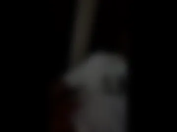 bennybrowncock live webcam preview