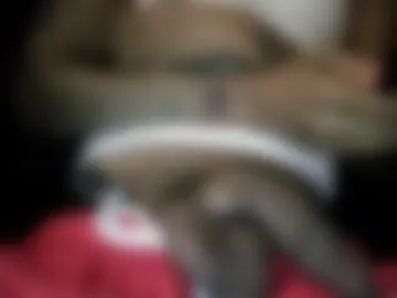 bertdollaz757 photo 2