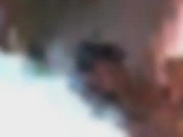 bertopdx live webcam preview