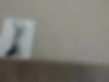 best__angelica photo 8