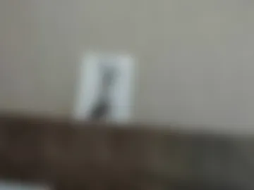 best__angelica photo 6