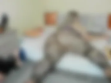 bettyb00tyx live webcam preview