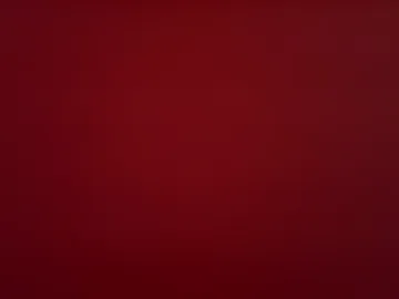 biancasteele photo 2