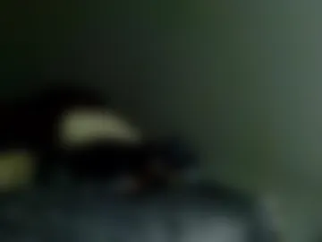 bidadwitabooty live webcam preview