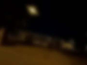 big_bearded_bear live webcam preview