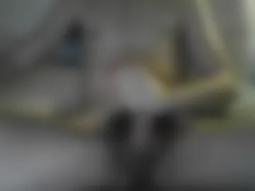 big_bushy_cock photo 6