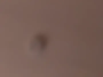 bigboobsnaughty1 photo 4