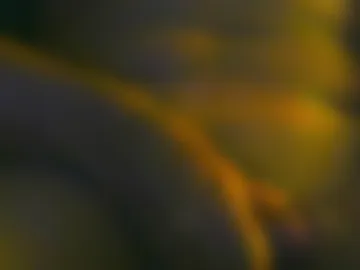 bigchocolate19cm photo 2