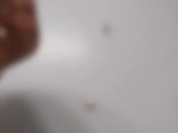 bigcockpapi97597355 photo 5