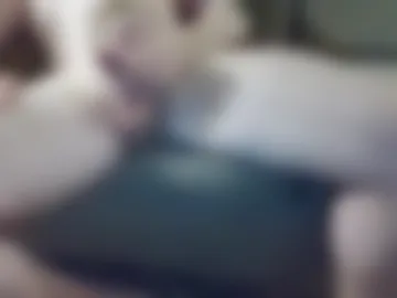 bigdickslangin421 photo 8