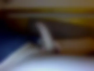 bigdickwillywonka11 photo 3