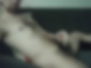 bigdyllpickle photo 9