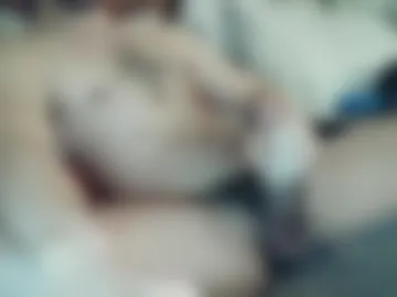 bigdyllpickle photo 8