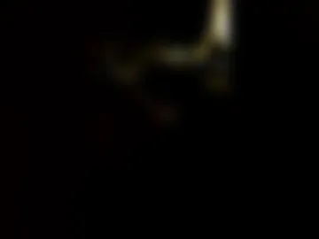 biggen666 live webcam preview