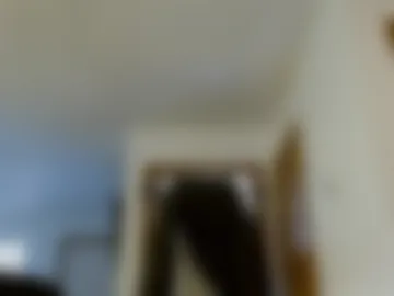 biggerbradd photo 2