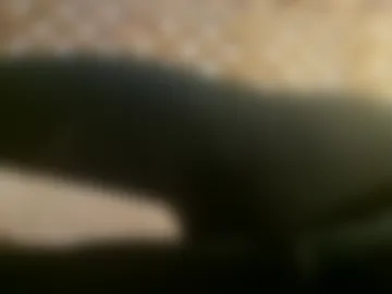 biggestboiiii photo 8