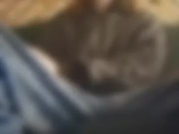 biggestboiiii photo 6