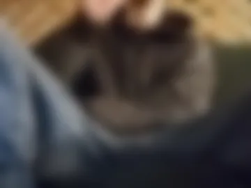 biggestboiiii webcam preview