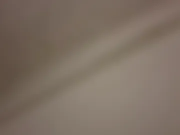 bigggsreel live webcam preview