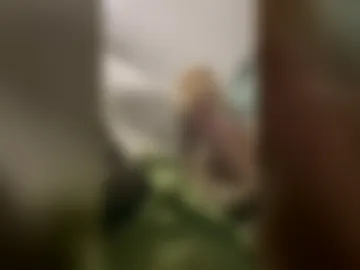 bigkahuna06 live webcam preview
