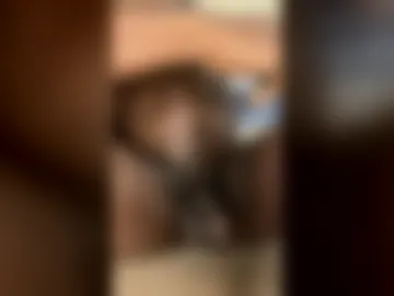 bigol408269 live webcam preview