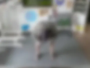 bigredmachine25 photo 4