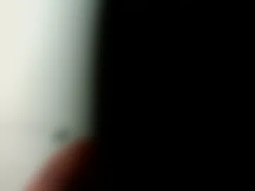 bigrisine live webcam preview