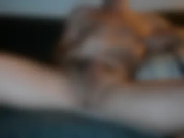 bigthickguyforyou webcam preview