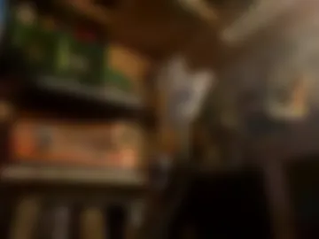 billisonn webcam preview