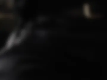 bimmelimcock webcam preview