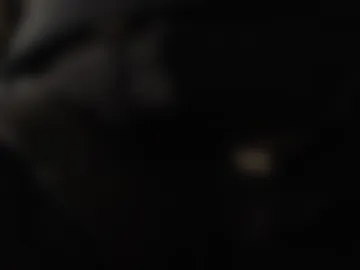 bimmelimcock photo 8