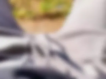 bisasam02 live webcam preview