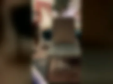 bisfurbear webcam preview