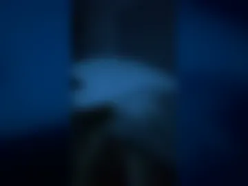 biztraveler1 webcam preview