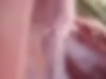 bkt427 live webcam preview