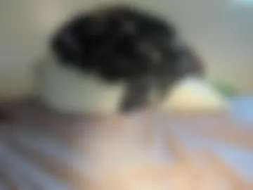 blaccluv webcam preview