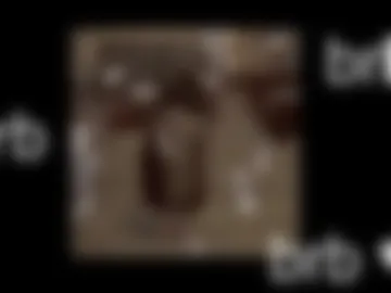 black_kittie_01 photo 6