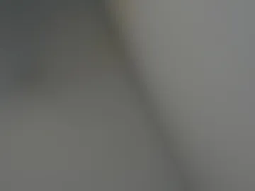 black_rose02 photo 9