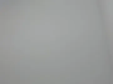 black_rose02 webcam preview