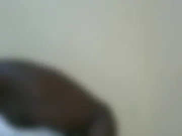 blackbeauty002 photo 7