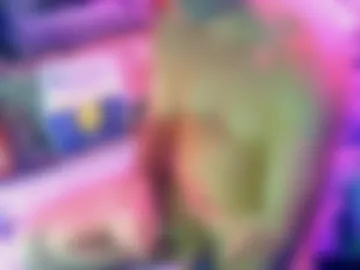 blassiuss live webcam preview