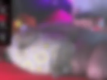 blondiebubblebooty photo 2