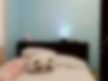 blowjobexpert69 live webcam preview