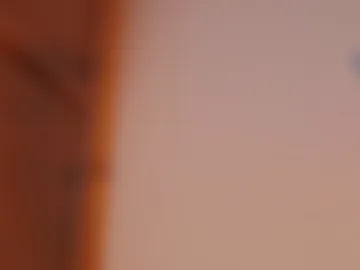blueberry_gothic live webcam preview
