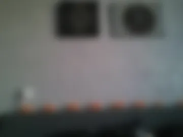 bluexowl photo 3