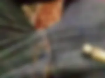 boardss91 live webcam preview