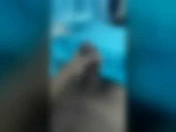 bob121112 live webcam preview