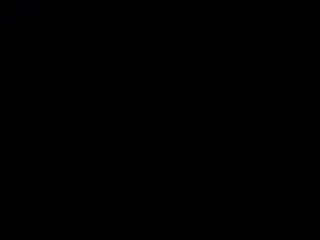 bob2490 live webcam preview