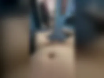 bobllup27 live webcam preview