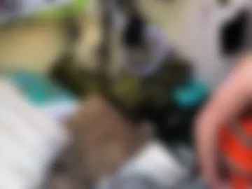 bonnie_and_clyde_11 photo 7